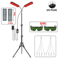 Revitalight Therapy Lamp™