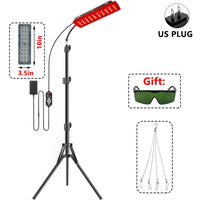 Revitalight Therapy Lamp™